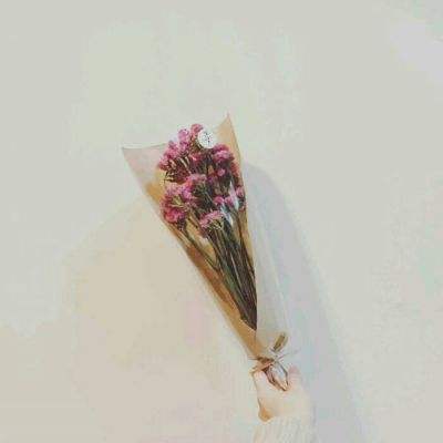 星光花园游戏下载